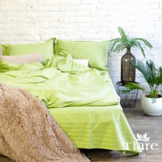 Комплект постельного белья Вилюта Tiare сатин-страйп евро 200х220 (69)