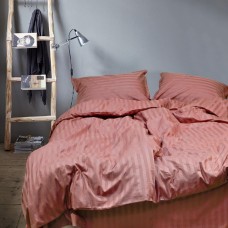 Комплект постельного белья Вилюта Tiare сатин-страйп семейный 143х210 (66)