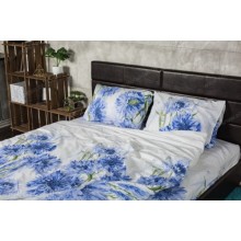 Комплект постельного белья Ecotton бязь premium двуспальный 210х220 (15305-1)