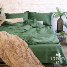 Комплект постельного белья Вилюта Tiare сатин-страйп полуторный 143х210 (81)